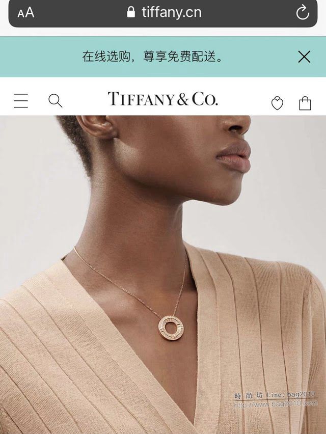 Tiffany純銀飾品 蒂芙尼女士專櫃爆款滿鑽羅馬字母項鏈 Tiffany圓盤項鏈  zgt1676
